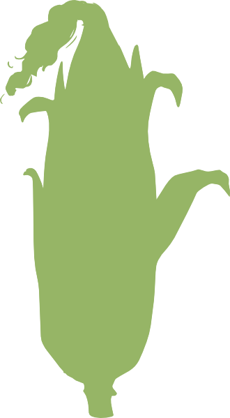 How To Set Use Green Corn Clipart (330x599), Png Download