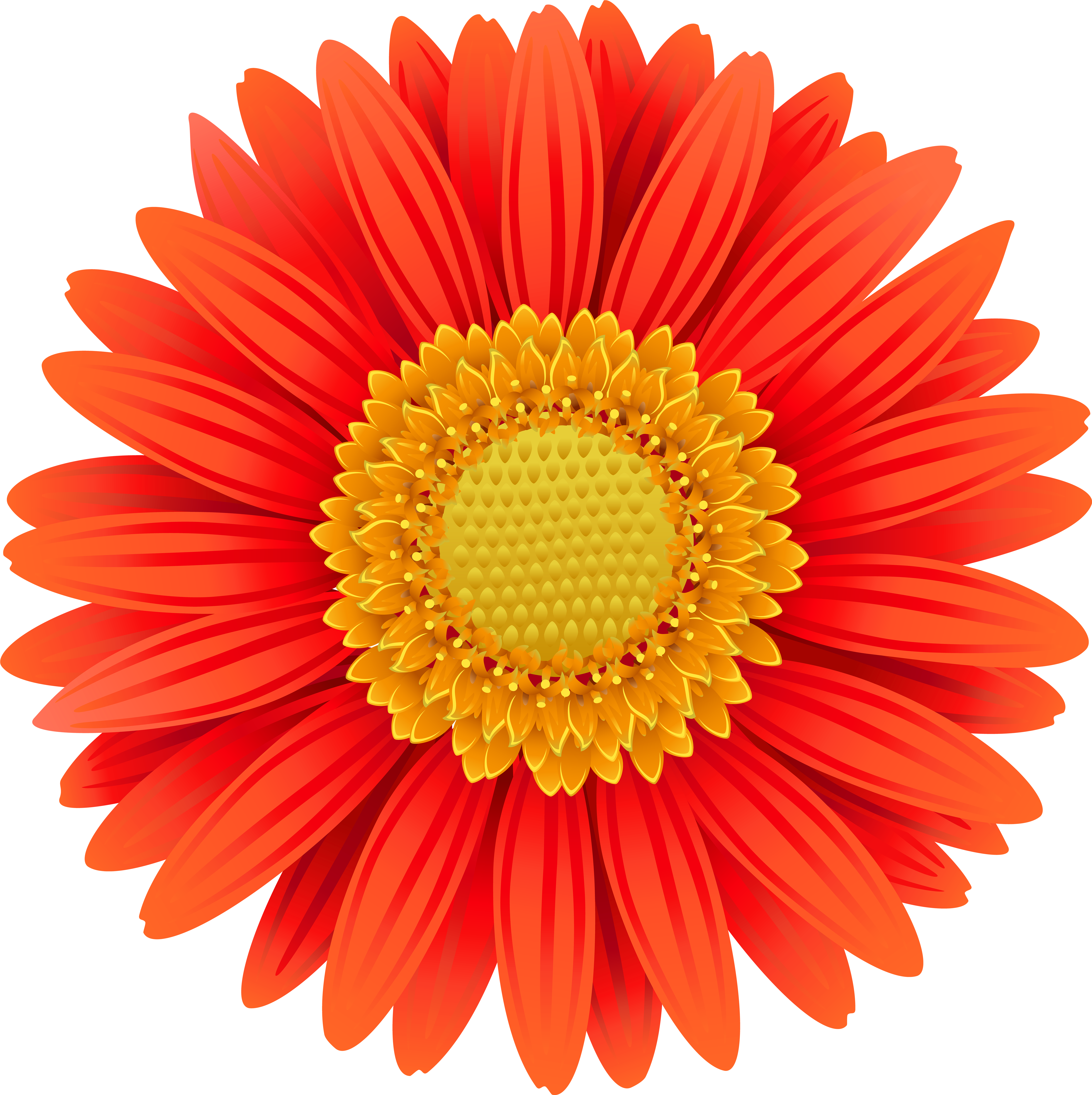 5 Watercolor Sunflower - Daisy Flowers Clip Art (5984x6000), Png Download