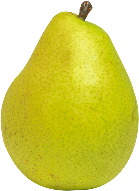 Pear Fruit Png Clipart - Nashpati Clipart (516x698), Png Download