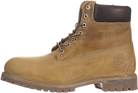 Timberland Inch Premium Boots - Panaman Jack Botas Mujer (650x650), Png Download
