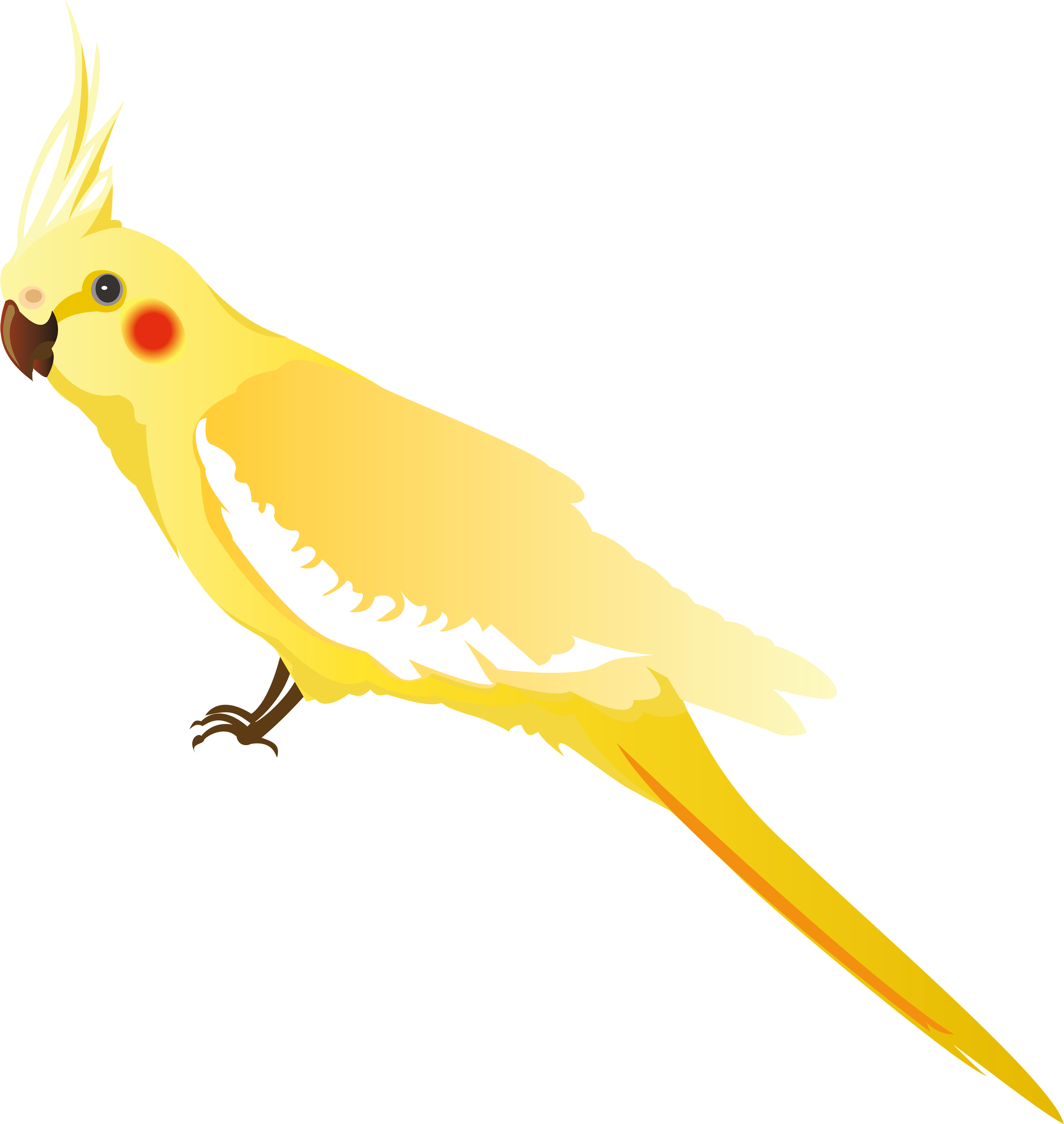 Yellow Parrot Png Clipart - Teth (4000x4226), Png Download