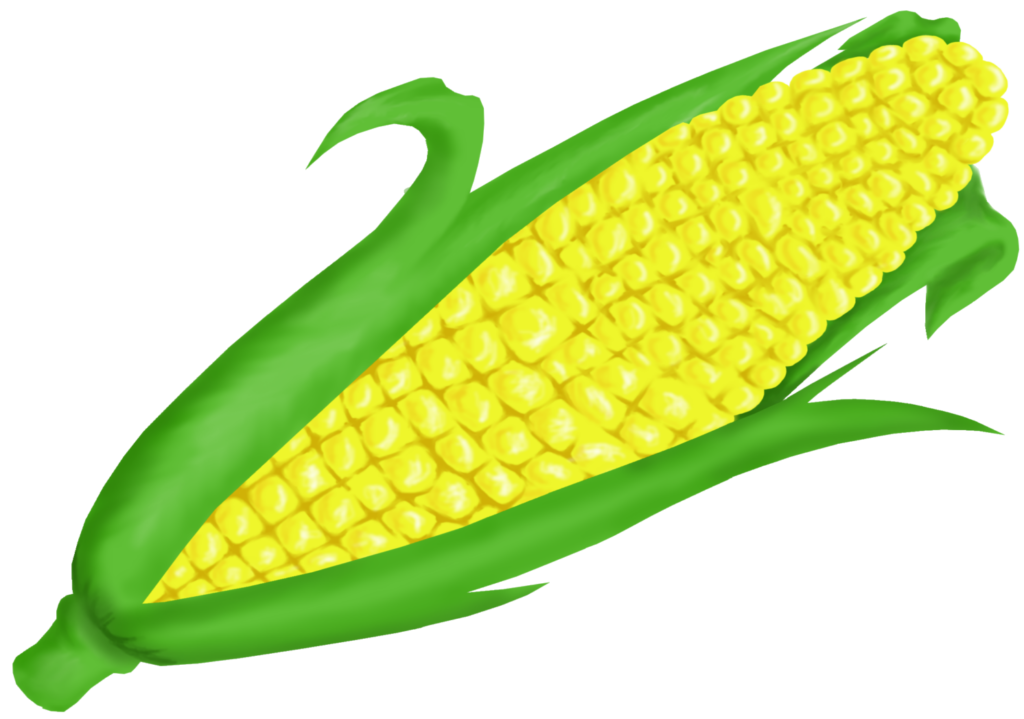 Corn On Cob Clip Art Png - Clip Art Of Corn (1024x719), Png Download