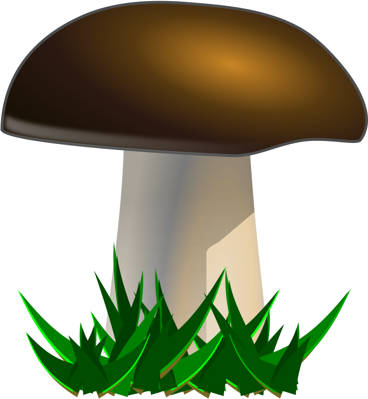 Clipart Food Mushroom - Mushroom Clipart (728x800), Png Download