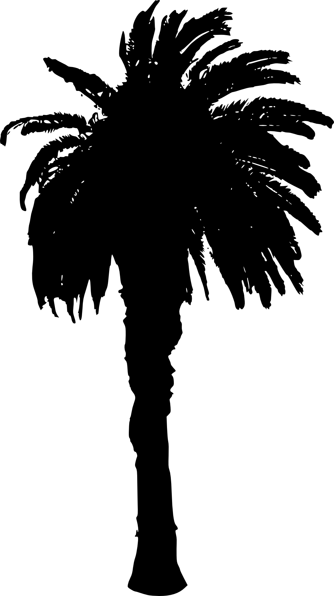 Free Download - Date Tree Silhouette (1120x2000), Png Download