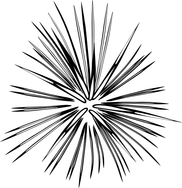 Blk-wht2 Firework Svg Clip Arts 582 X 599 Px (582x599), Png Download