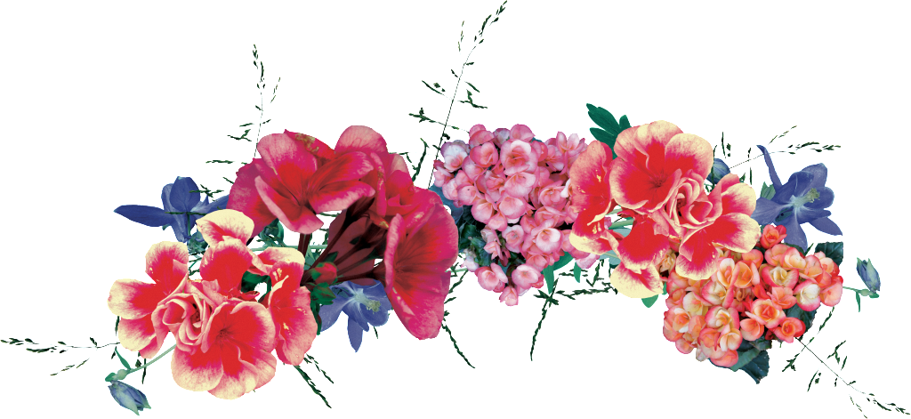 Hand-painted Glamorous Lace Png Transparent - Portable Network Graphics (1024x471), Png Download