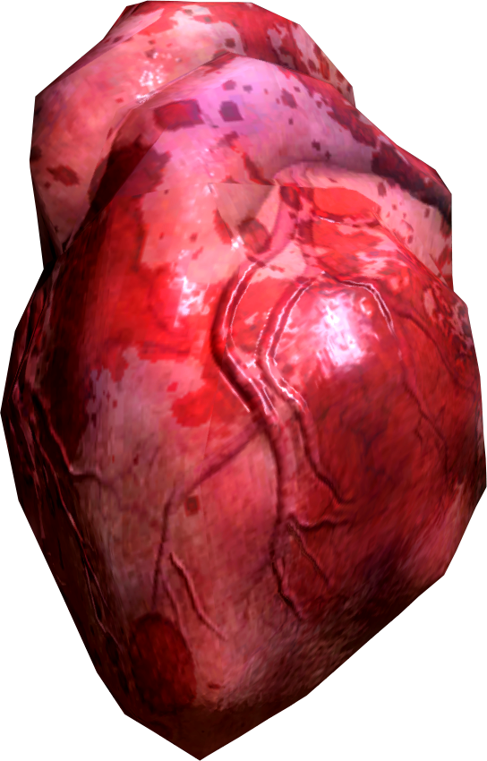 Human Heart - Human Heart Png (544x850), Png Download