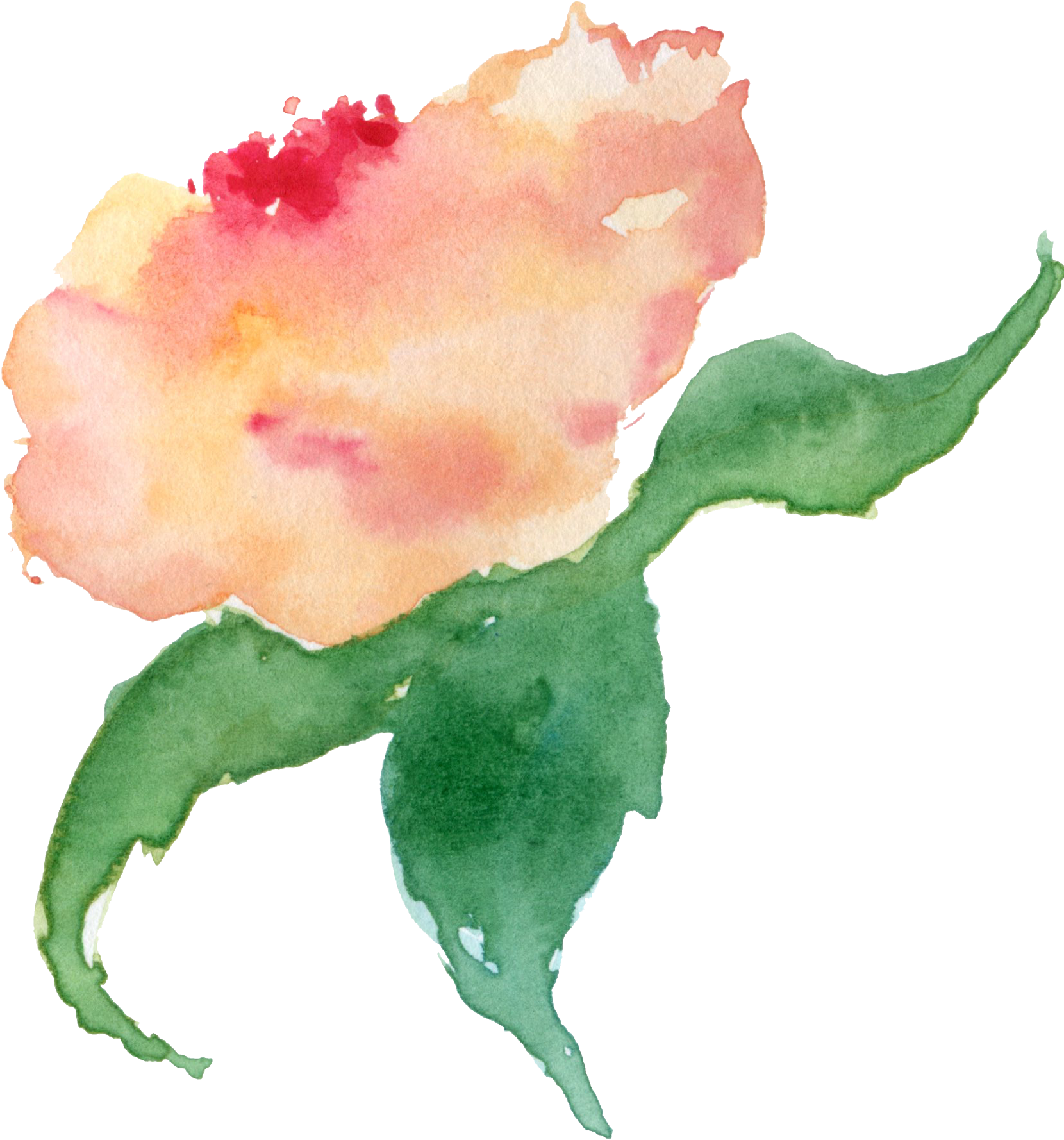 Watercolour - Watercolor Painting (1805x1912), Png Download