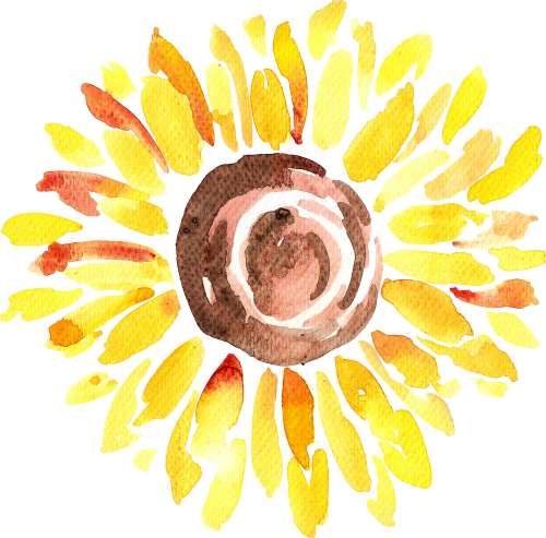 Art Transparent Watercolor Sunflower - Chenara Dodge (500x493), Png Download