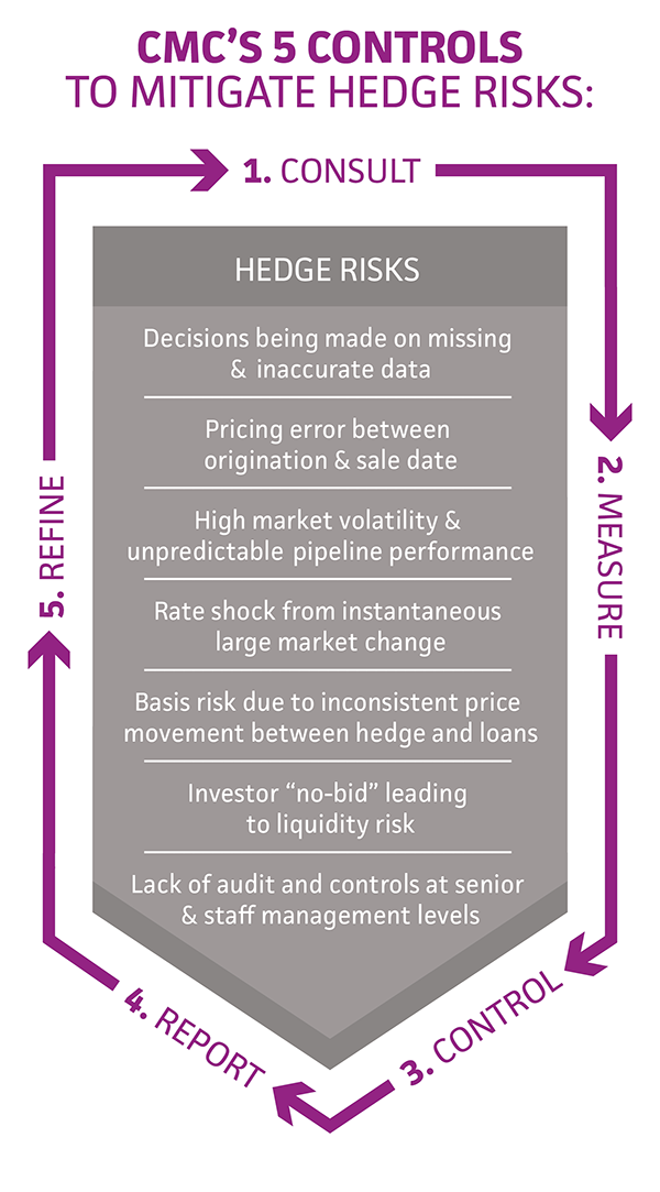 Hedging 7risks Table New V3 - Hedge (600x1083), Png Download
