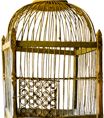 Man In A Golden Cage - Vintage Cage Png (582x410), Png Download