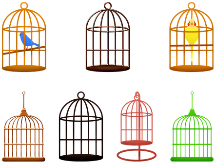 Birdcage, Birds, Colorful, Cage, Animal - Bird (450x340), Png Download