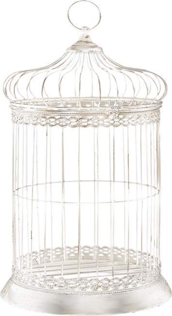 Cage (355x650), Png Download