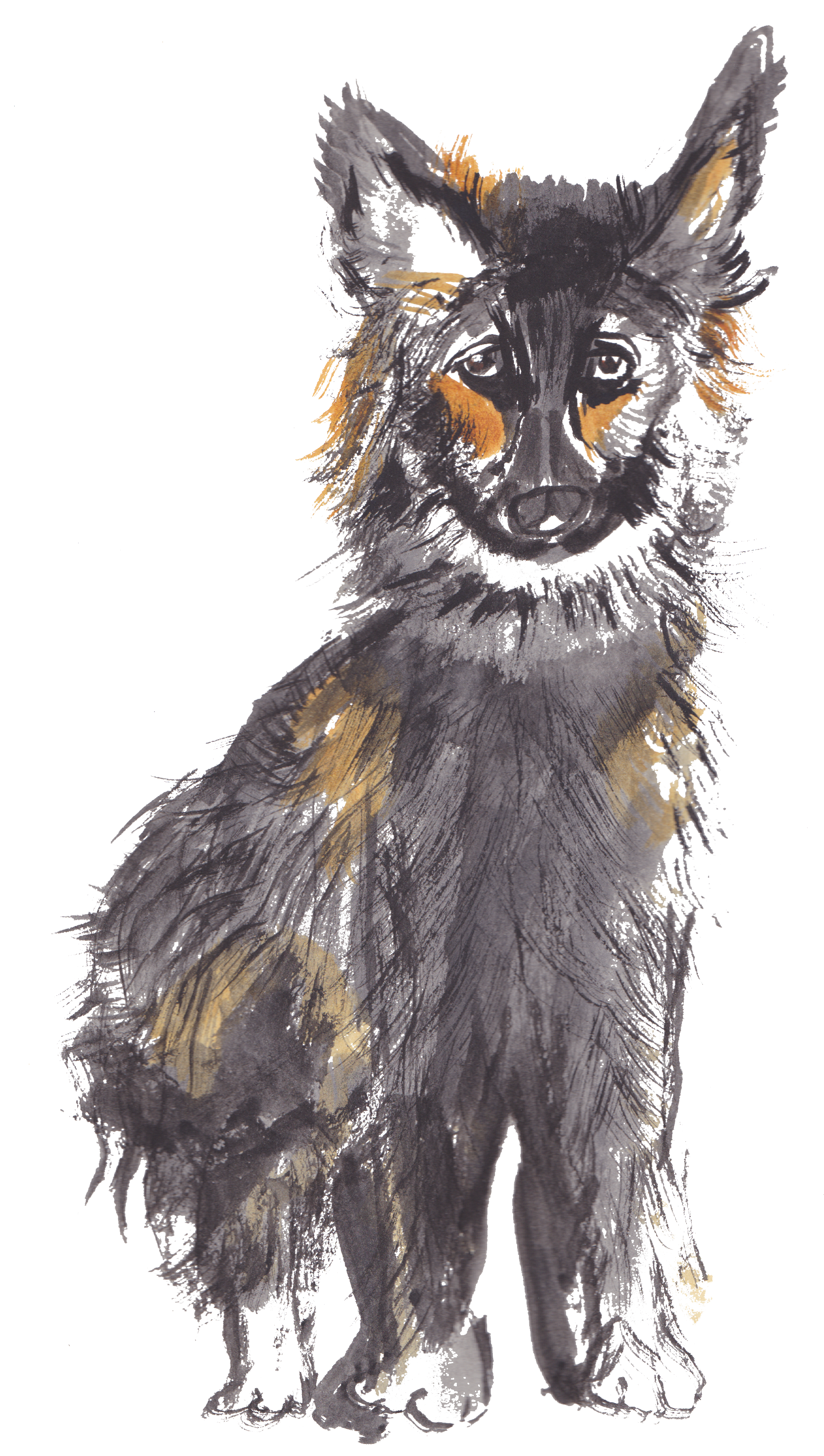 One Of My Dream Jobs, Book Cover Designs - Domestic Long-haired Cat (2046x3297), Png Download