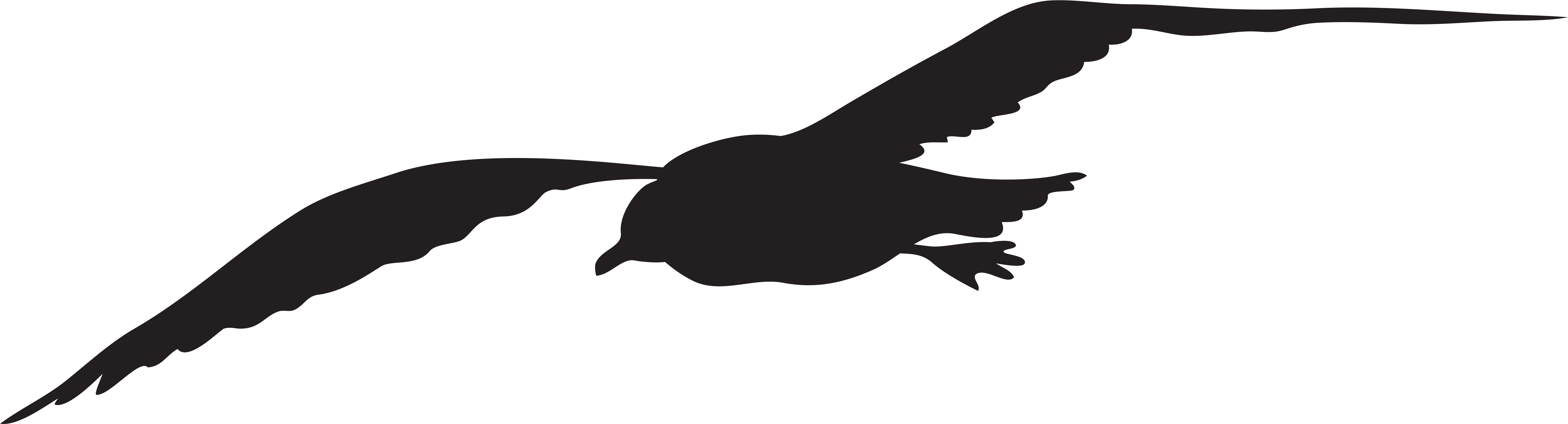 View Full Size - Sea Gull Clip Art (8000x2236), Png Download