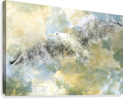 Vanishing Seagull Canvas Print - Digital Art, Vanishing Seagull By Melanie Viola Hi (429x344), Png Download