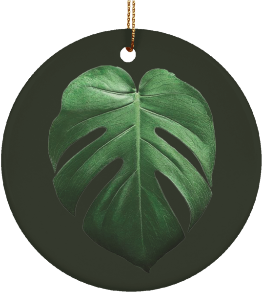 Monstera Deliciosa Ceramic Tropical Leaf Ornament - Saskia Van Uylenburgh (600x600), Png Download