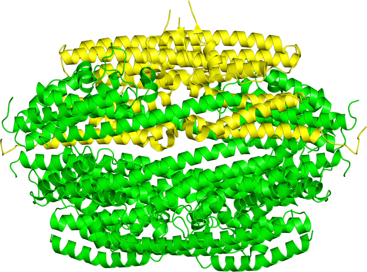 Protein Data Bank On Twitter - Illustration (1200x1200), Png Download