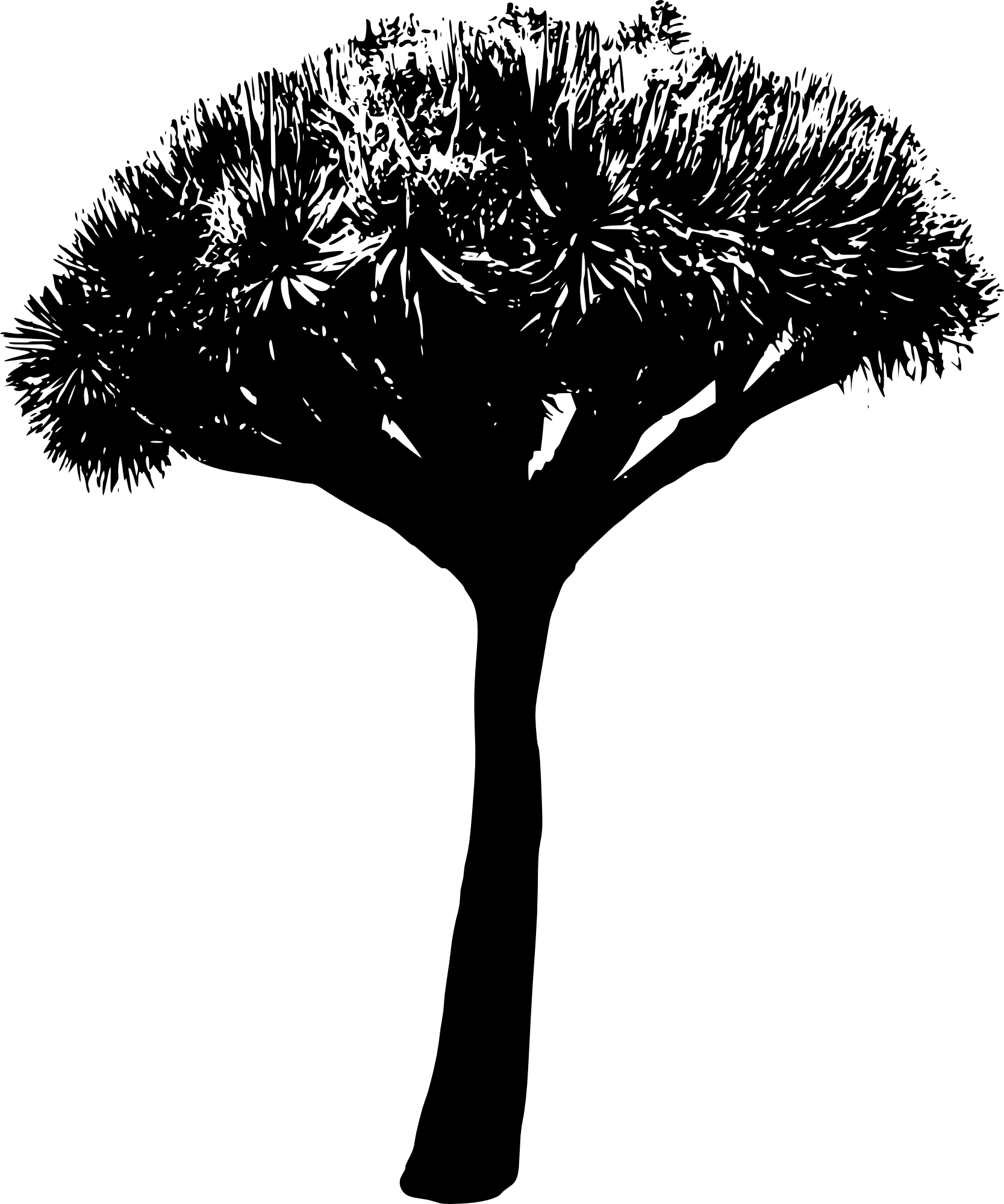 45 Tree Silhouettes Png Transparent Background - Silhouette (1667x2000), Png Download