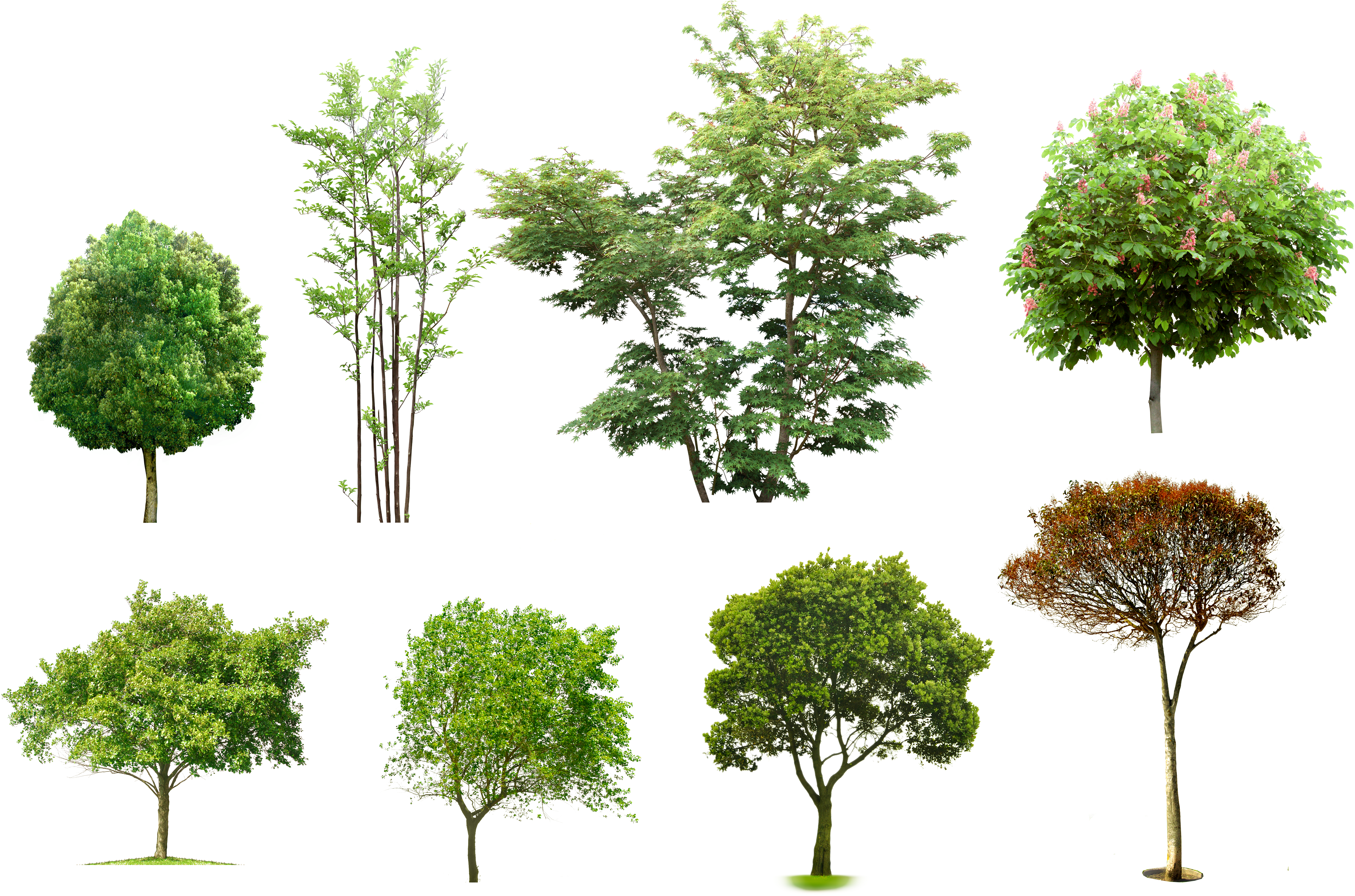 5669 × 3814 En (5669x3814), Png Download