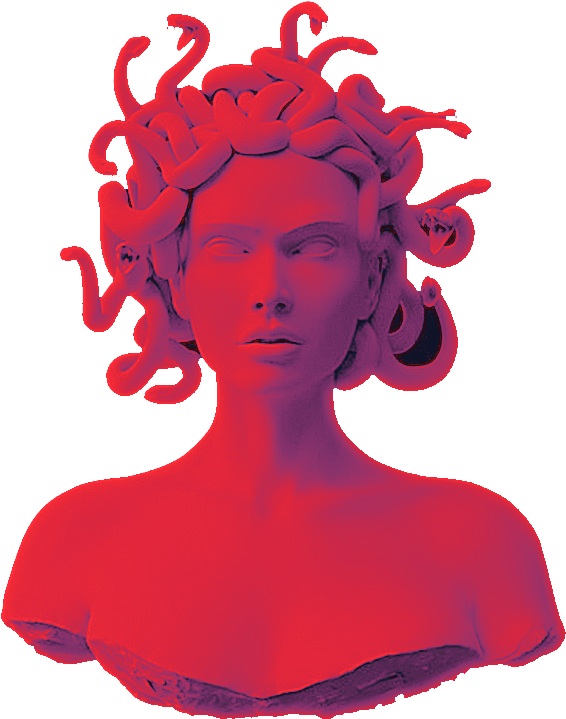 Flower Boy - Medusa Silhouette (800x800), Png Download