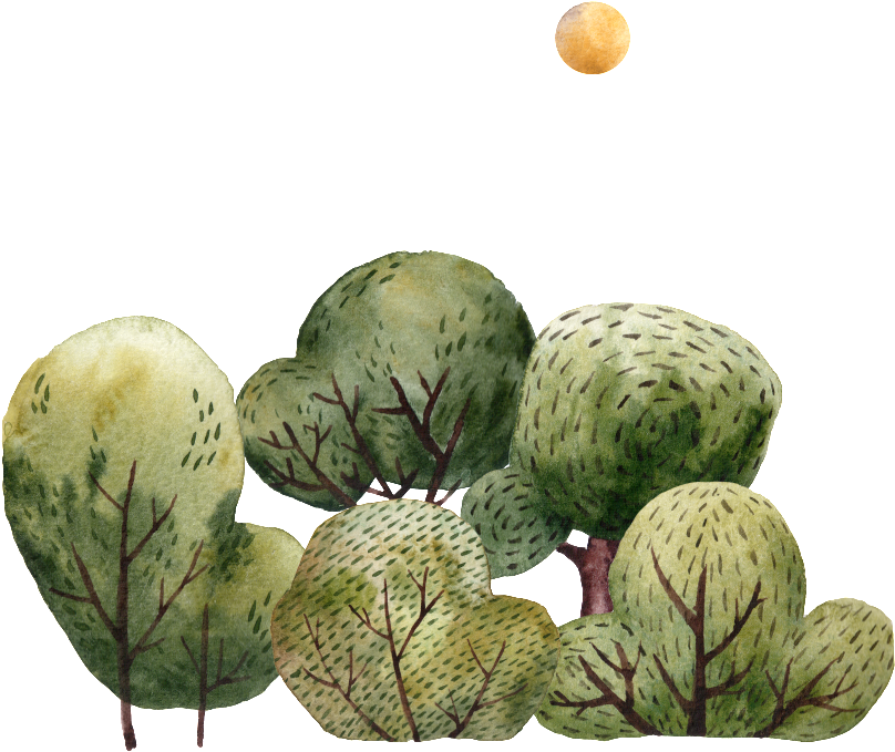 Pintado A Mano De Dibujos Animados Arboles Png Transparente - Artichoke (1024x1024), Png Download