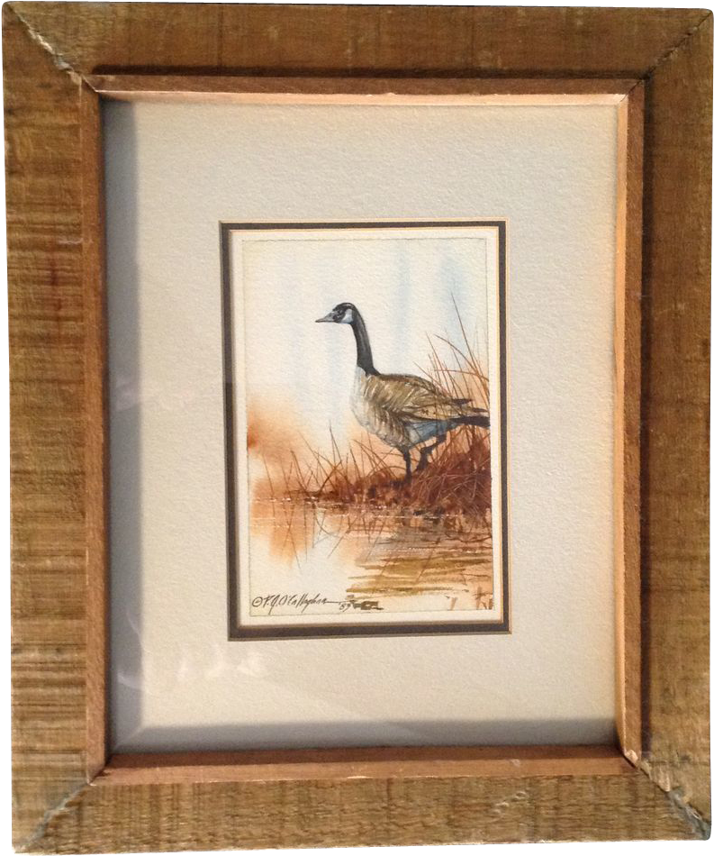 O'callaghan, Canadian Goose, Watercolor Painting, 1983 - Watercolor Painting (949x949), Png Download