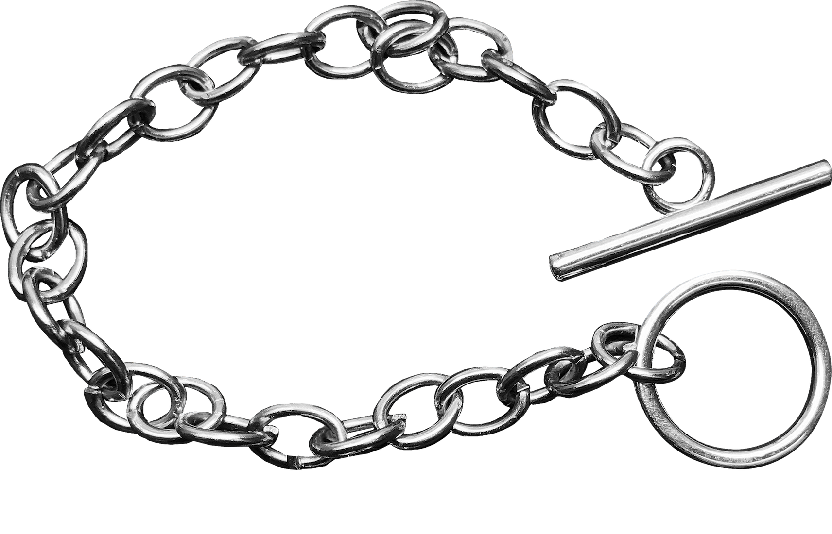 Animal Jam Charm Bracelet - Charm Bracelet (1712x1100), Png Download