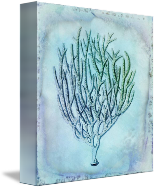 Coral Watercolor Iii By Cora Niele Jpg Royalty Free - Library (536x650), Png Download