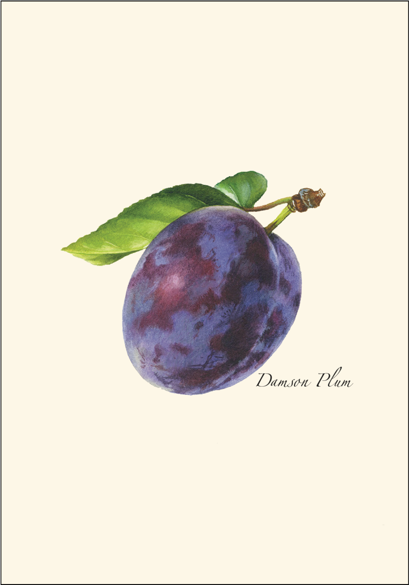 Shopping Cart -  -  - Drawing (1200x1200), Png Download