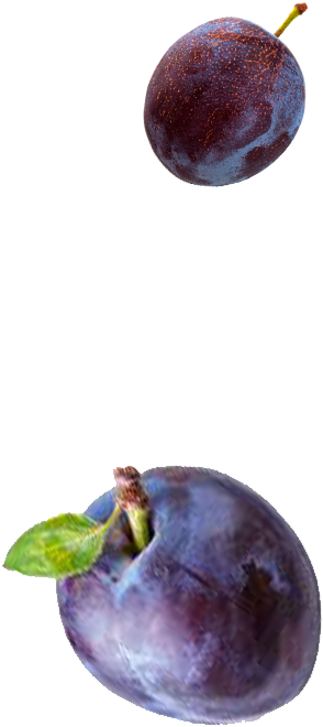 Shop Now - Gerber 1st Foods Nature Select, Prunes - 2 Pack, 2.5 (483x729), Png Download