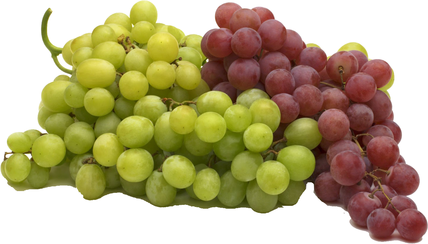 My Favourite Fruit Grapes (1600x1035), Png Download