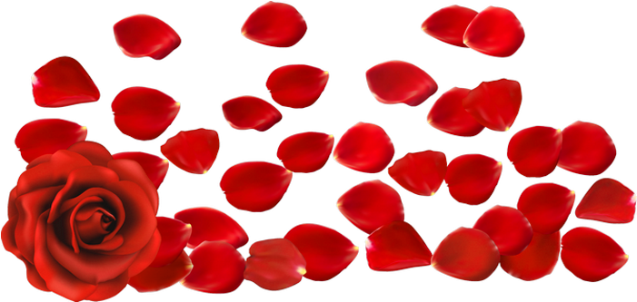 Red Roses Petals Png (721x353), Png Download
