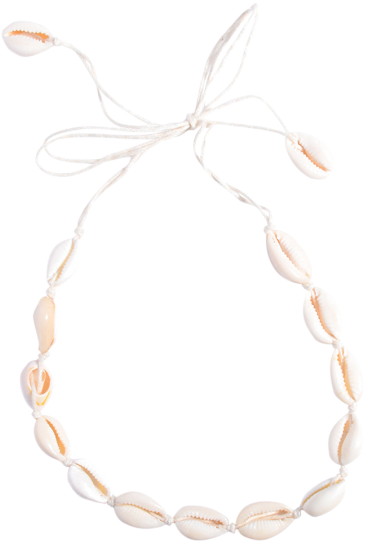 Womens Necklaces - Shell Choker Necklace (360x480), Png Download