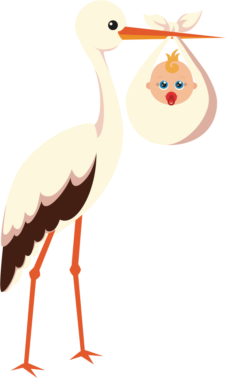 Stork Vector Pregnancy Png Royalty Free Stock - Little Pink Book (a Short Story) (1500x1500), Png Download