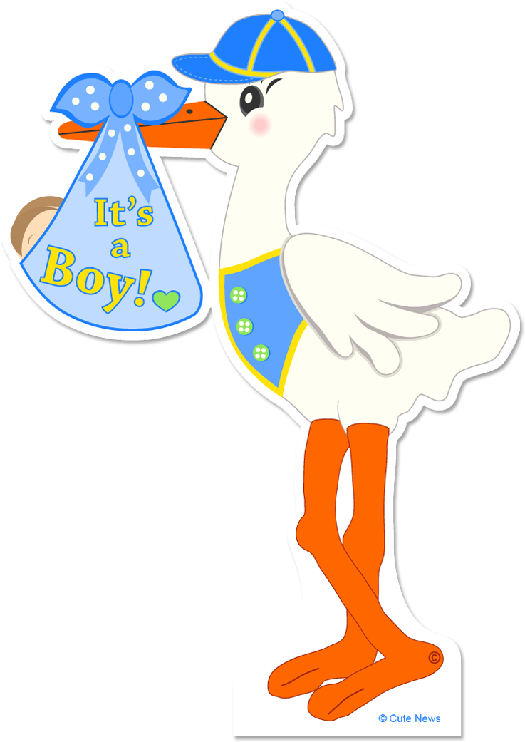 Stork Clipart Standing - Its A Boy Stork (1039x1047), Png Download