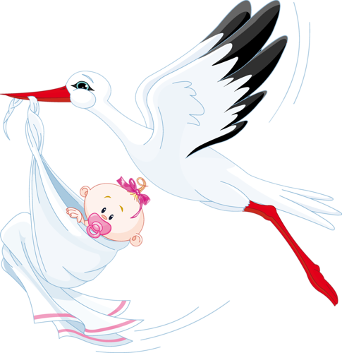 41 - Stork With Baby Vector (485x500), Png Download