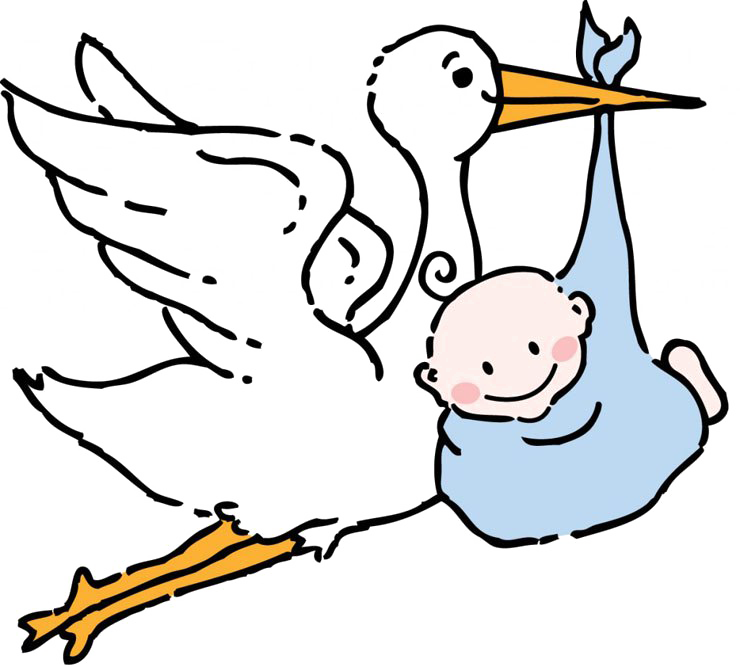 Stork Free Png Image - Stork Baby (740x667), Png Download
