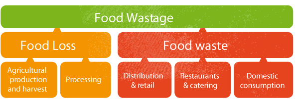 Food Wastage Definition - Food Waste Vs Food Loss (600x206), Png Download