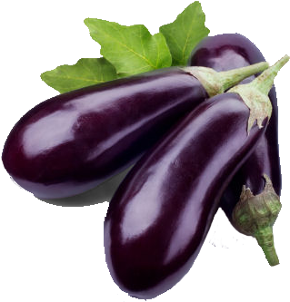 Eggplant Free Download Png - Brinjal Png (346x347), Png Download
