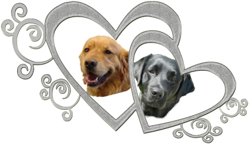Winston Maddie Hearts - Clip Art Double Hearts (500x297), Png Download