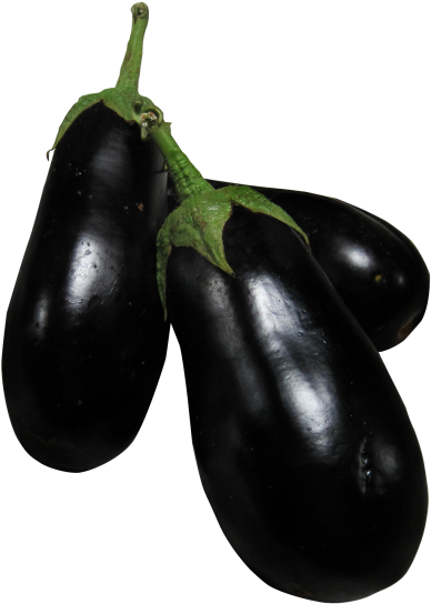 Download Eggplant Png Image - Brinjal Pngs (500x598), Png Download