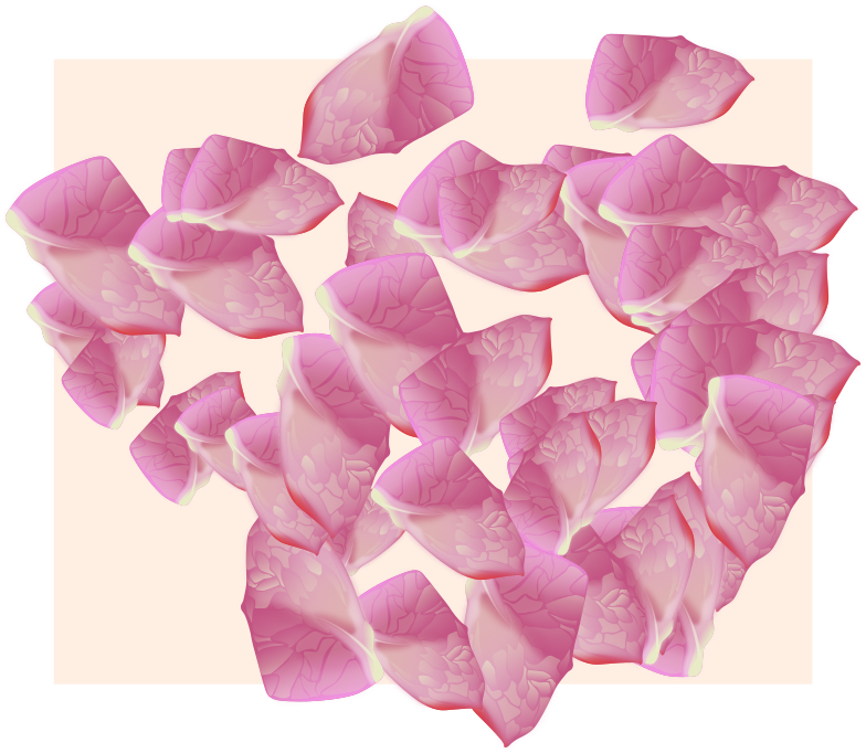 Flower Petal Vector - Rose (800x695), Png Download