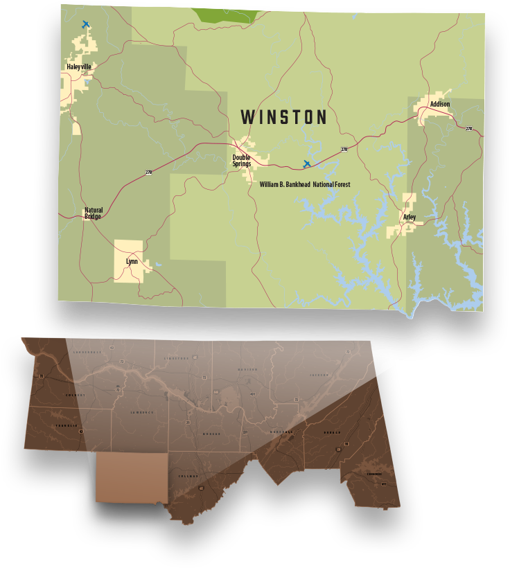 County Profile - Alabama (800x900), Png Download