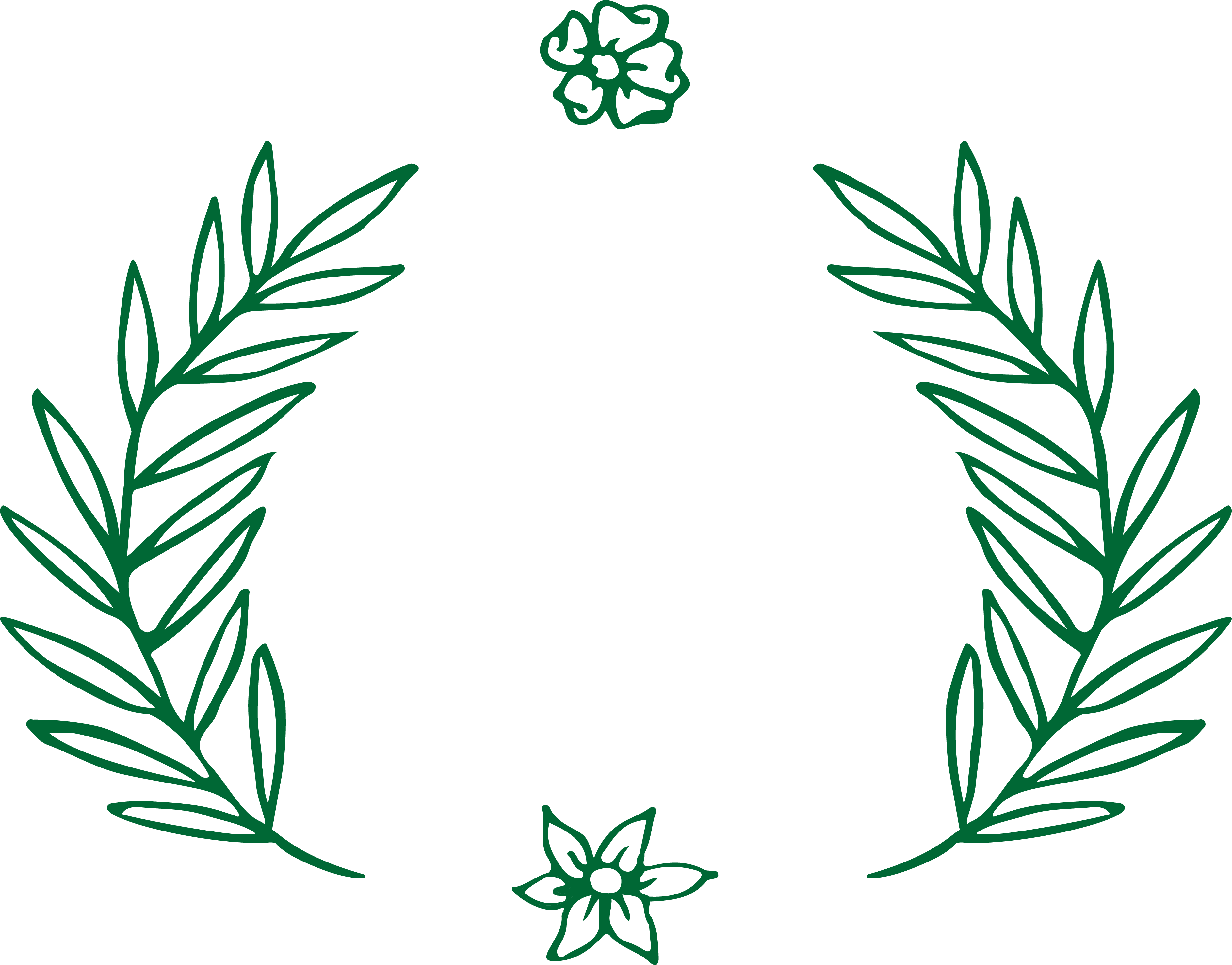 Border leaves