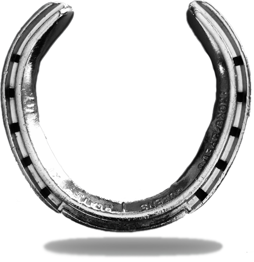 Chrome Horse Shoe - .com (522x539), Png Download