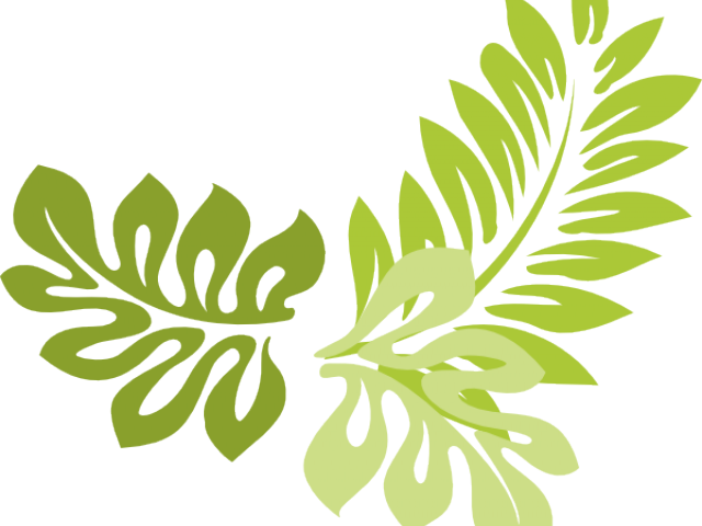 Drawn Leaves Leaf Border Png - Fern Clip Art (640x480), Png Download