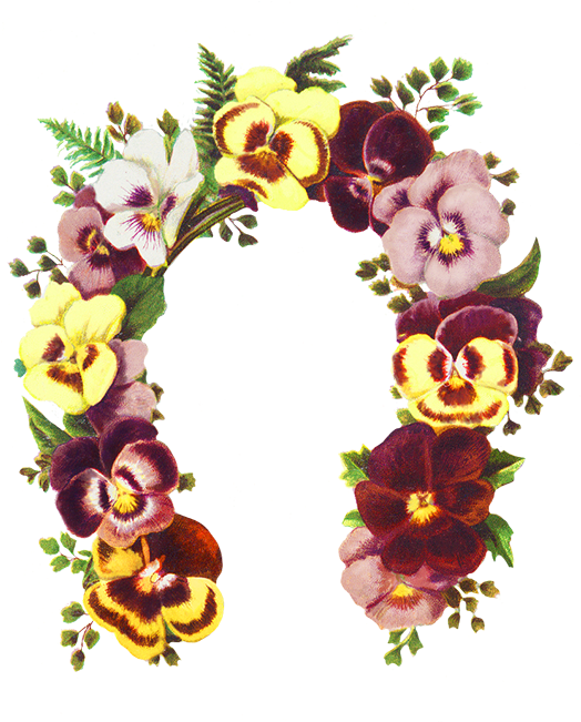 Flowers Shaped As A Horse Shoe - Horse (533x650), Png Download