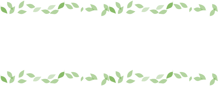 Border Leaves (768x299), Png Download
