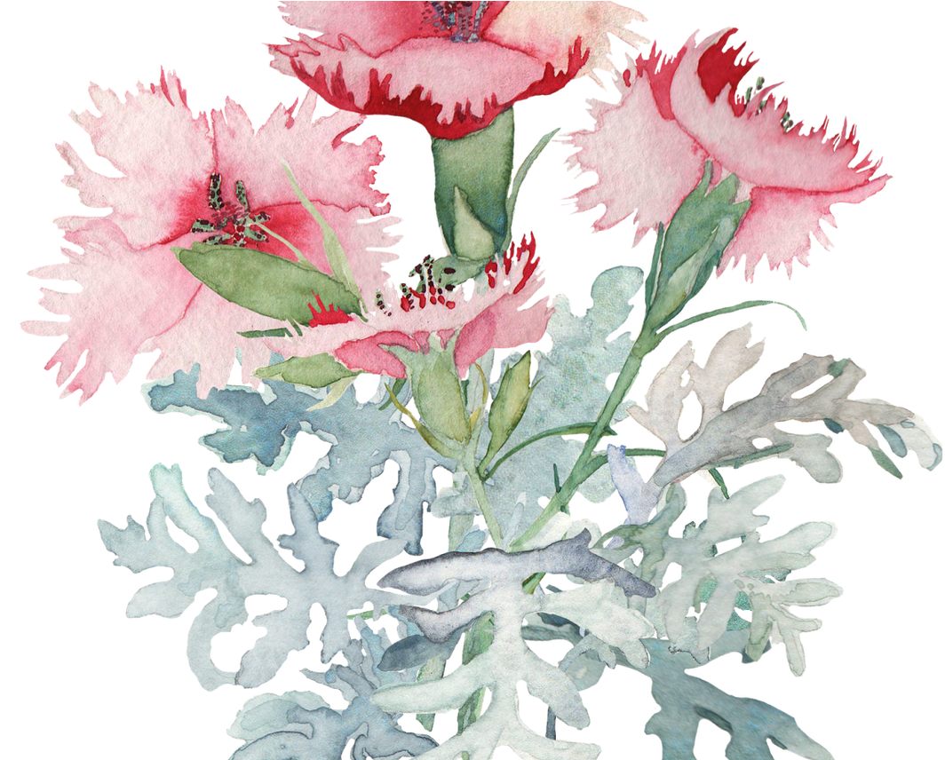 Spring Flower Watercolor Image Transparent Techflourish - Watercolor Painting (1368x855), Png Download